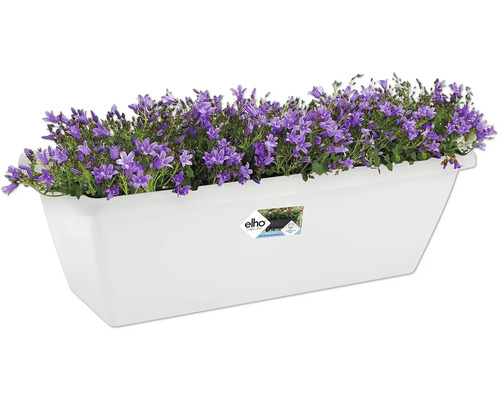 Jardinière blanche avec campanules violettes et logo Elho