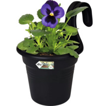 Blumentopf mit Veilchen und Aufhängevorrichtung