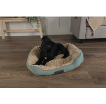 Chien noir couché dans un lit pour chien Scruffs