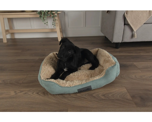 Chien noir couché dans un lit pour chien Scruffs
