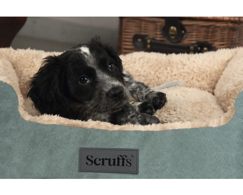 Jeune chiot noir allongé dans un panier pour chien Scruffs.