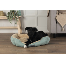 Un chien noir est allongé dans un panier pour chien bleu clair avec une doublure beige.