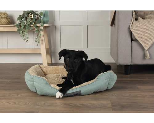 Un chien noir est allongé dans un panier pour chien bleu clair avec une doublure beige.