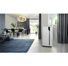 Salon avec tapis, table à manger et climatiseur mobile