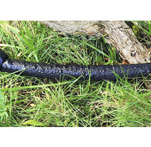 Tuyau d'arrosage sur pelouse