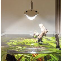 Aquarium mit Beleuchtung und Wasserpflanzen