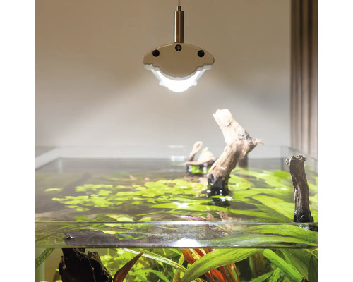 Aquarium mit Beleuchtung und Wasserpflanzen