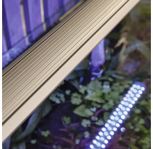 Aquariumbeleuchtung mit LED-Leiste