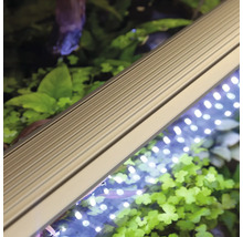 Aquarium LED-Leuchte zur Beleuchtung von Aquarien