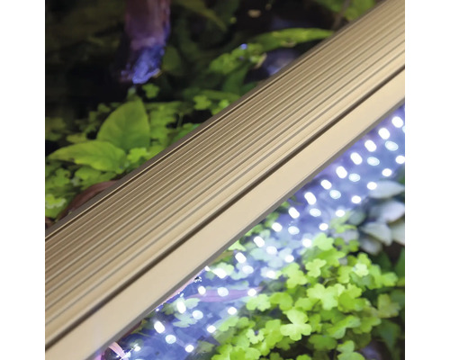 Aquarium LED-Leuchte zur Beleuchtung von Aquarien