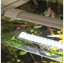 Aquariumbeleuchtung über einem Aquarium mit Pflanzen und Dekoration