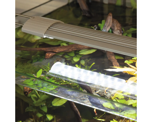 Aquariumbeleuchtung über einem Aquarium mit Pflanzen und Dekoration