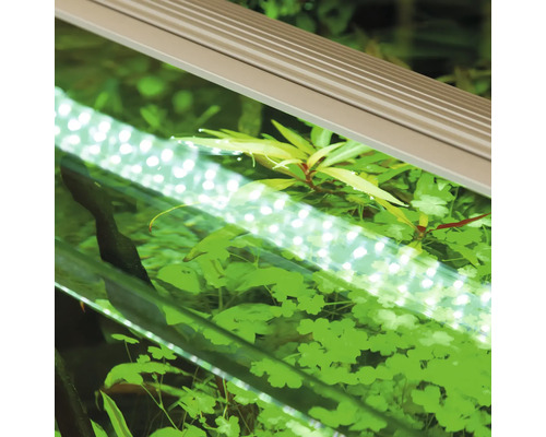 Aquarium mit LED Beleuchtung und Pflanzen