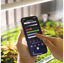 Smartphone mit Aquarium-Beleuchtungs-App zur Steuerung der Lichtintensität und Farbe.