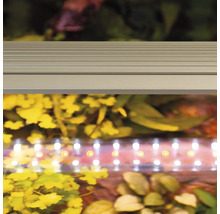 Aquarium mit LED-Beleuchtung