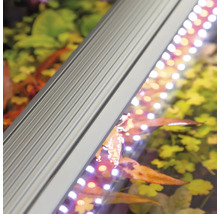 Aquarienbeleuchtung mit LED-Leiste im Detail.