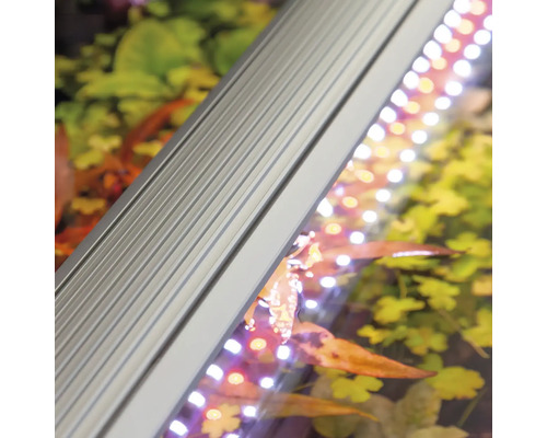 Aquarienbeleuchtung mit LED-Leiste im Detail.