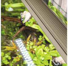 Nahaufnahme einer Aquariumlampe über einem bepflanzten Aquarium