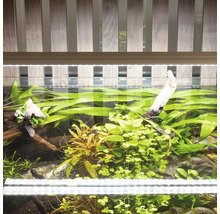 Beleuchtetes Aquarium mit Pflanzen und Dekoration