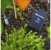 Capteur intelligent Gardena dans un parterre de jardin pour mesurer l'humidité du sol