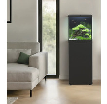 Aquarium aménagé avec meuble bas dans un salon à côté d'un canapé