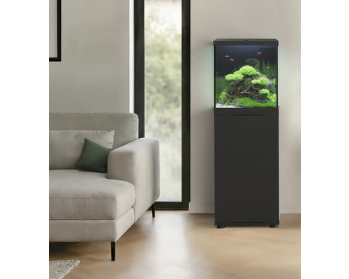 Aquarium aménagé avec meuble bas dans un salon à côté d'un canapé