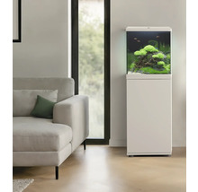 Aquarium avec meuble bas et plantation dans un salon