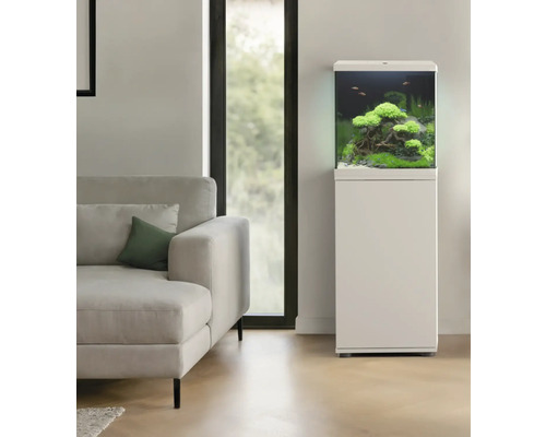 Aquarium avec meuble bas et plantation dans un salon