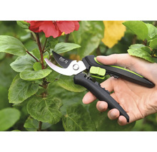 Sécateur en utilisation sur une plante