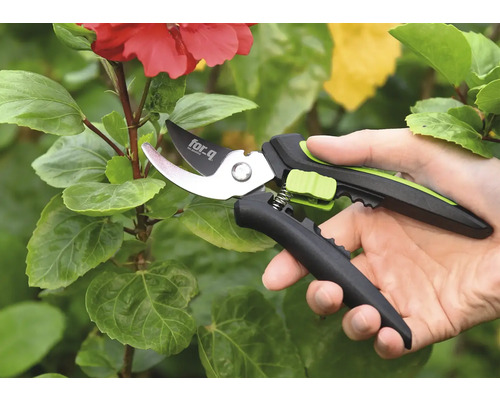 Sécateur en utilisation sur une plante