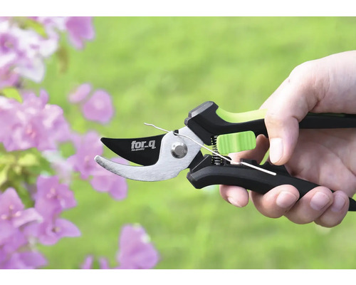 Sécateur tenu dans une main