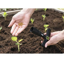 Eine Hand hält Saatgut über einem Beet, die andere Hand hält ein Pflanzwerkzeug.