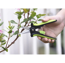 Gartenschere beim Beschneiden eines Pflanzenstiels