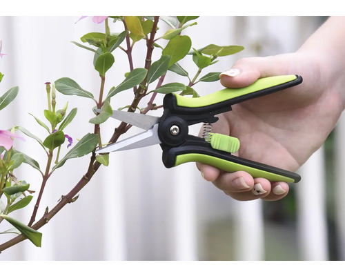 Gartenschere beim Beschneiden eines Pflanzenstiels