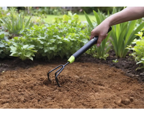 Griffe de jardin utilisée pour ameublir la terre dans une plate-bande