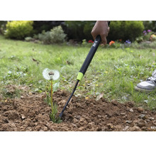 Gros plan d'une personne en train d'enlever un pissenlit du sol avec un couteau à désherber