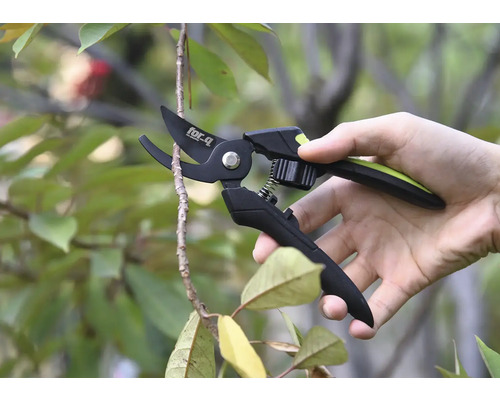 Sécateur coupant une branche