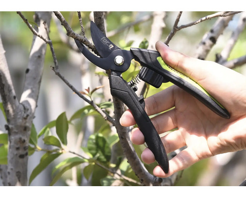 Sécateur coupant une branche