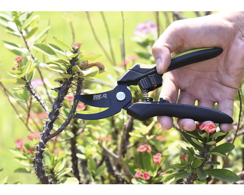 Sécateur coupant une branche épineuse
