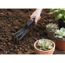 Scène de jardinage avec main, petite fourche et plantes grasses en pot