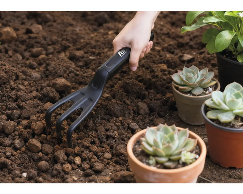 Scène de jardinage avec main, petite fourche et plantes grasses en pot