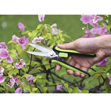 Sécateur dans une main devant une plante fleurie