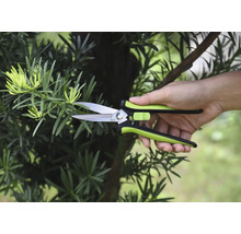 Sécateur coupant une branche