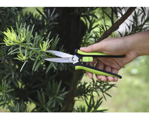 Sécateur coupant une branche
