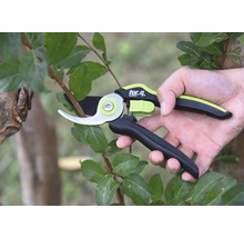 Sécateur utilisé sur une branche avec des feuilles, marque for.q.