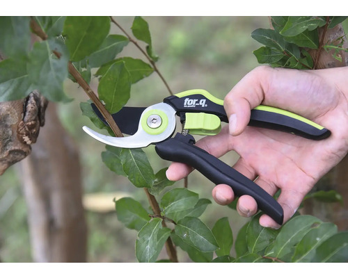 Sécateur utilisé sur une branche avec des feuilles, marque for.q.