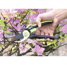 Une personne utilise un sécateur de branches for_q pour couper une branche fleurie.