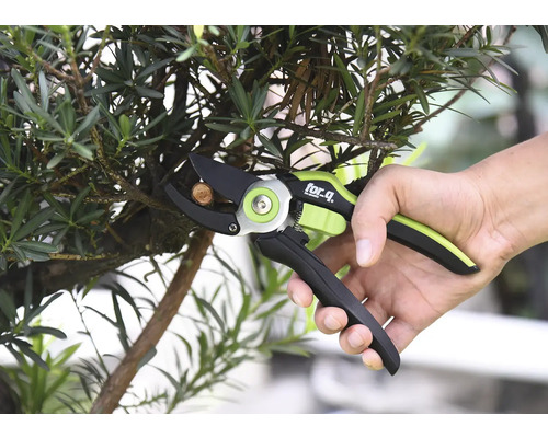 Une personne coupe une branche avec un sécateur de la marque For Q.