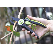 Une personne tient un sécateur lors de la coupe d'une branche.