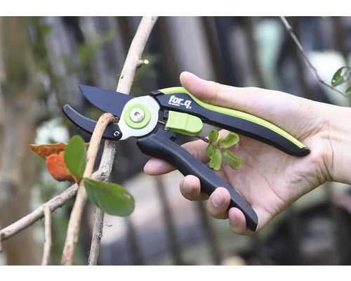 Une personne tient un sécateur lors de la coupe d'une branche.